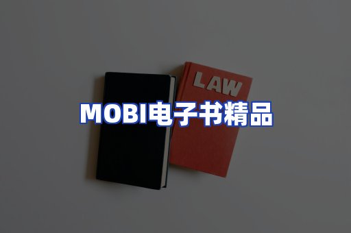 外文电子书产品